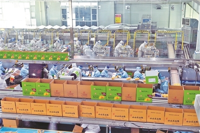 山西海玉園食品產業園有序生產，助力食品銷售穩步增長